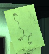 Solution Lysine