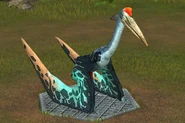 Level 30