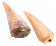 Зубыбака.png (236 КБ) Зубы аниматронного Бака