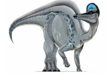 1/1サイズ ロウリンハノサウルスの胎児骨格レプリカ 弾い
