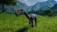 Jwe-proceratosaurus