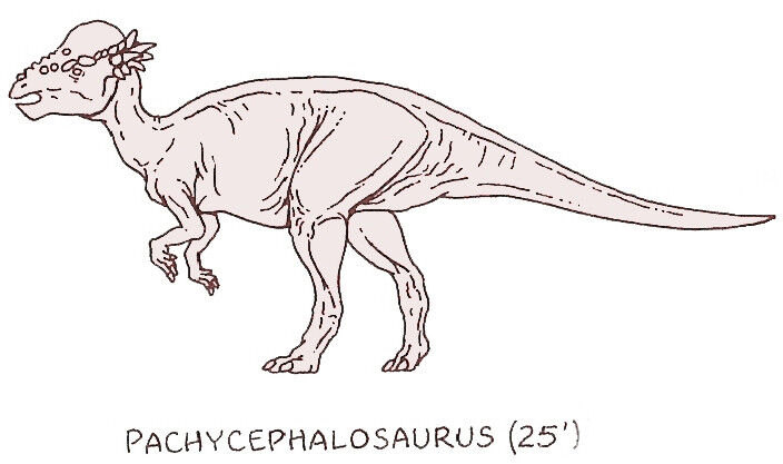 Pachycephalosaurus Novels Jurassic Park Wiki Fandom