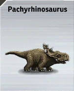 Pachyrhinosaurus card