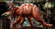 TrikeWarpathJP.jpg (22 KB) Triceratops in Warpath
