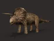 Triceratops