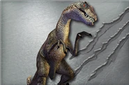 Velociraptor