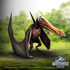 ケアラダクティルス top1