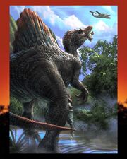 Jaroslav-kosmina-asset spino