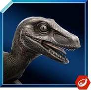 Utahraptor Icon