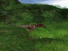 ケラトサウルス g2.jpg