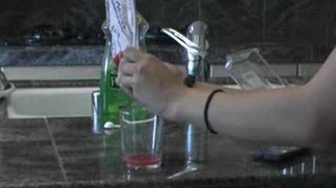 DNA_Extraction_Home_Experiment