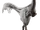 Oviraptor