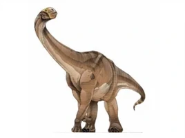 JPI Cetiosaurus