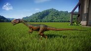 Proceratosaurus Jungle