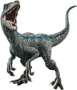 Fallen kingdom blue the velociraptor v3 by sonichedgehog2-dc9x53o