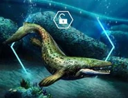 Prognathodon.jpg (38 kB)