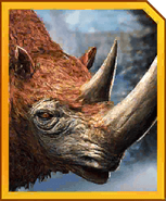 Woolly Rhino-icon