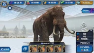 Level 11