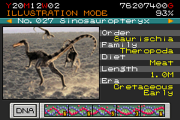 027 - sinosauropteryx