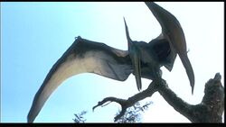 Pteranodon (The Lost World, Jurassic Park 3, Jurassic World)