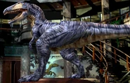 Giganotosaurus/Games Jurassic Park Wiki Fandom