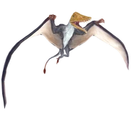 Scaphognathus-render-10.png (203 KB)