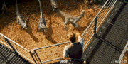 Tumblr static 1p9oxhupz5lw00408ggk8k0g8 640 v2.gif