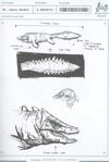 Tylosaurus