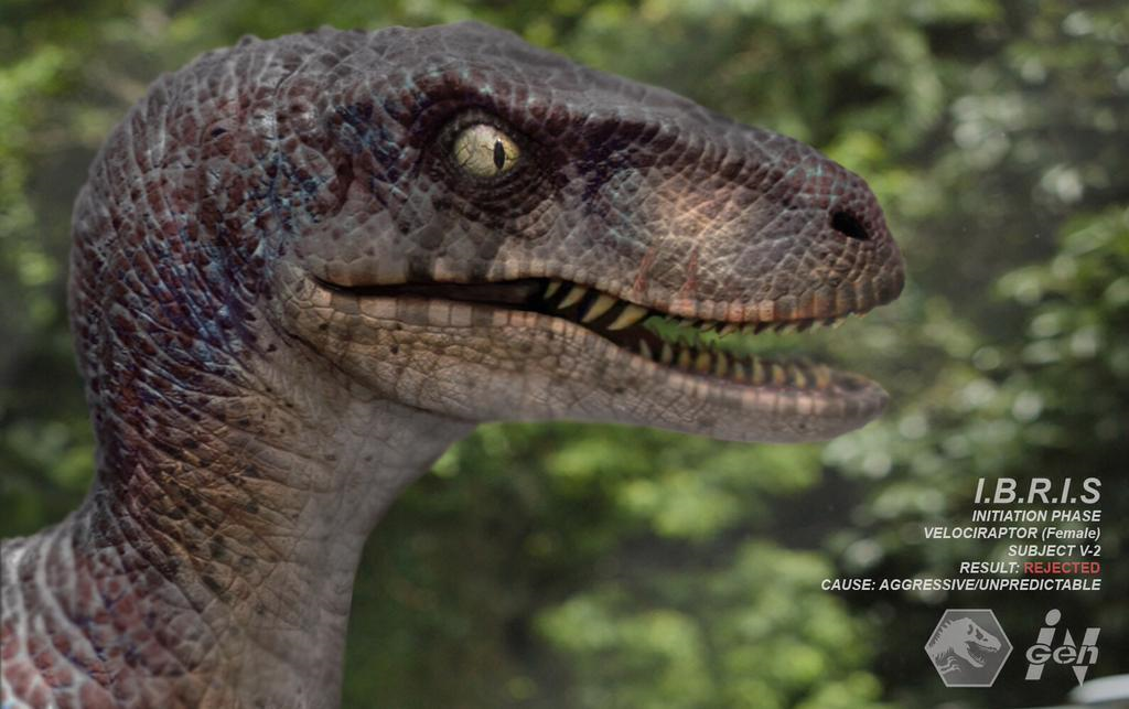 Velociraptor/Film, Jurassic Park Wiki