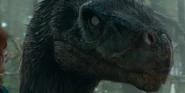 Dominion - Therizinosaurus.jpg (106 KB)