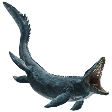 Mosasaurus Jurassic Park Wiki Fandom Megalodon coloring pages are a fun way for kids of all ages to develop creativity, focus, motor skills and color recognition. mosasaurus jurassic park wiki fandom