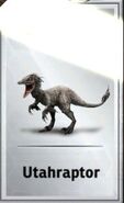 Utahraptor card