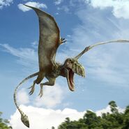 Dimorphodon1