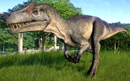 JWEAllosaurus