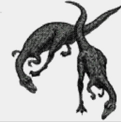 Procompsognathus Jurassic Park Wiki Fandom