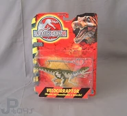 Raptor jpdh.jpg (118 KB)