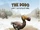 Dodo/Games