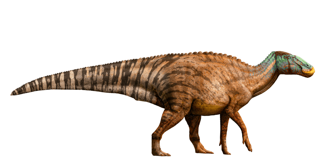 Dilophosaurus, Jurassic Park Wiki