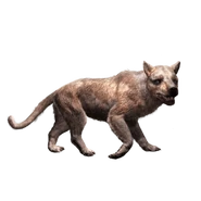 JWA PressKit Amphicyon.png (53 KB)