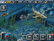 Level 20