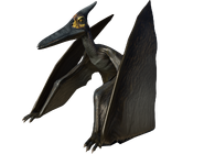 PteraCoastal.png (528 kB)
