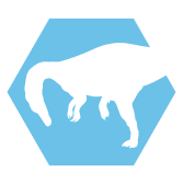 Suchomimus-header-icon
