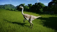 http://ru.jurassicpark.wikia.com/wiki/Файл:1529177634_struthiomimus.jpg (310 КБ)