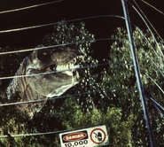 CY4M-SaaM c.jpg (152 КБ)