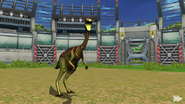 Gallimimus in the battle arena