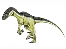 JPI Variraptor