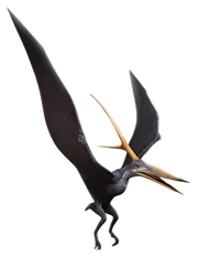 Jw nyctosaurus-removebg-preview