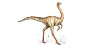 Ornithomimus a6ce