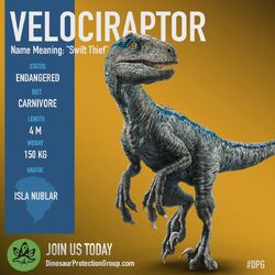 Blue Gallery Jurassic Park Wiki Fandom Blue Gallery Jurassic Park Wiki Fandom