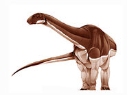 Algoasaurus